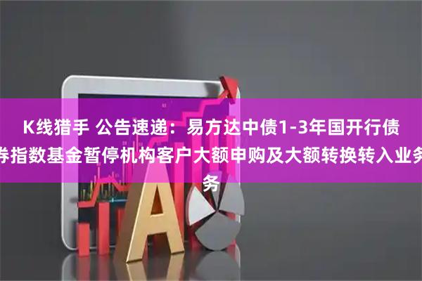 K线猎手 公告速递：易方达中债1-3年国开行债券指数基金暂停机构客户大额申购及大额转换转入业务