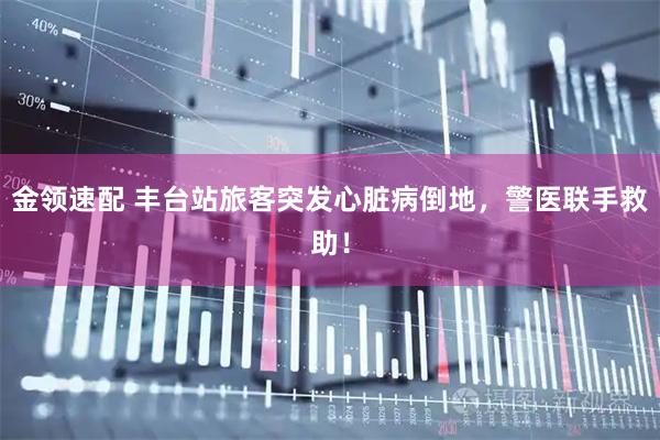 金领速配 丰台站旅客突发心脏病倒地，警医联手救助！