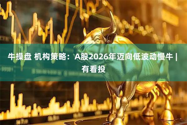 牛操盘 机构策略：A股2026年迈向低波动慢牛 | 有看投