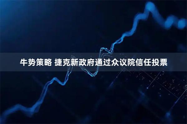 牛势策略 捷克新政府通过众议院信任投票